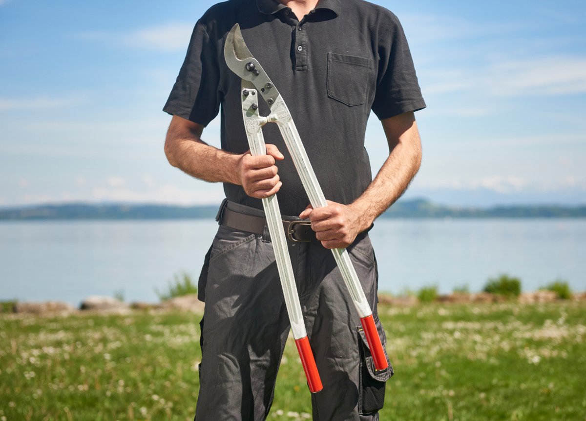 FELCO_tools's tweet photo. [#Tool ✂️] The #FELCO22 is a heavy-duty bypass #lopper with outstanding leverage that cuts larger branches effortlessly! 👌
Read more ➡️ https://t.co/wbzgyI7P2c https://t.co/hI6P3yl7Uz