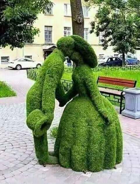 Mpalash75's tweet photo. Love forever..... https://t.co/LVc3pTzflG
