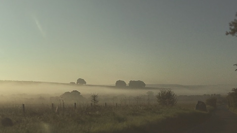 Sunset over a misty field