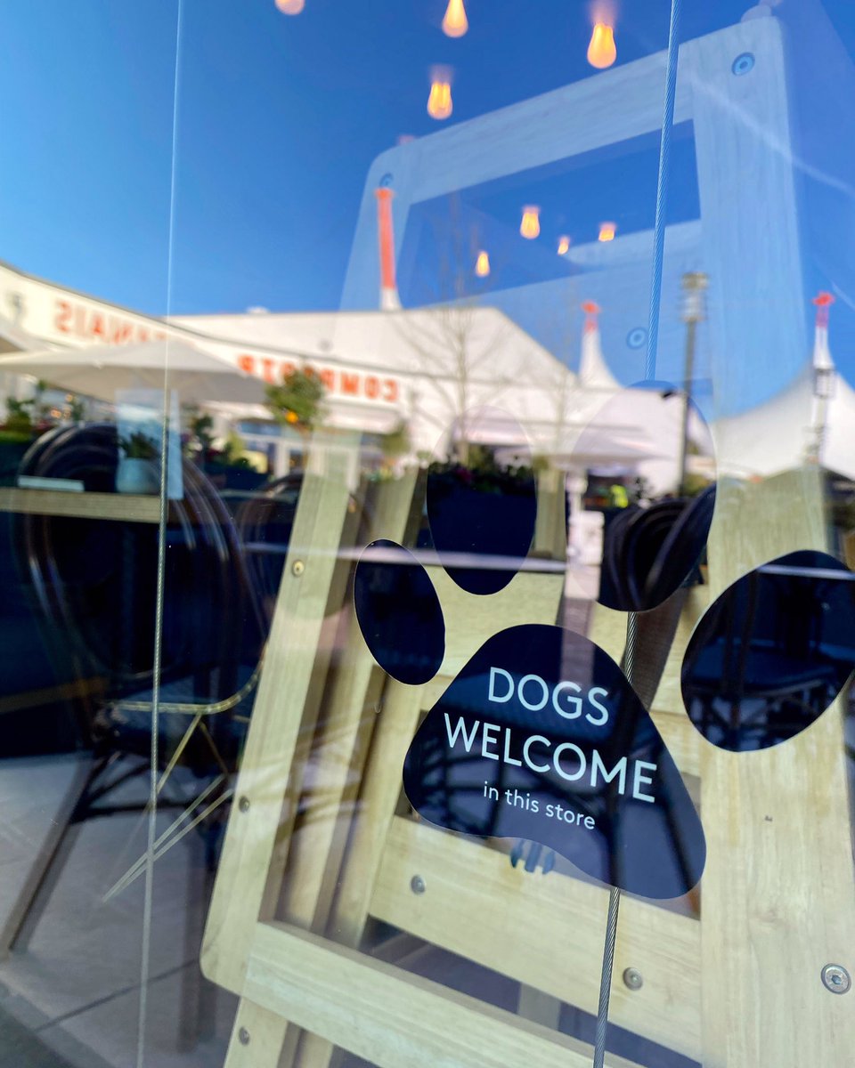 Dog Friendly! We get messages all the time asking if we’re dog friendly, and the answer is YES! 🐶
Now let’s start a pooch hashtag for when you come and visit.... use #lostsheeppooches so we can share pics!
