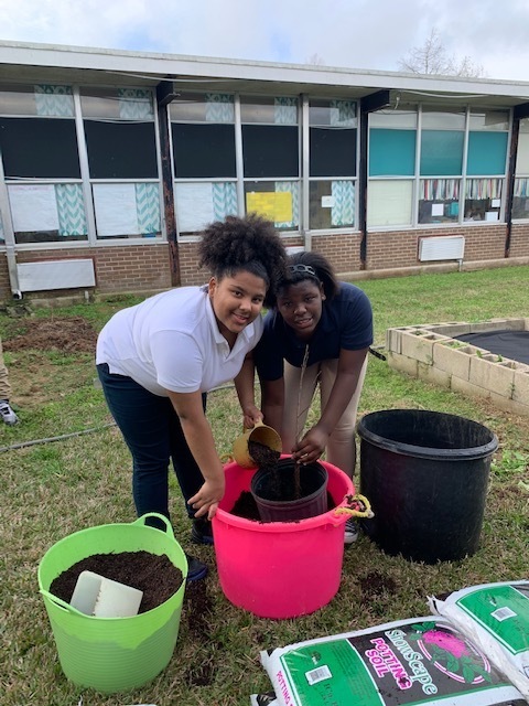 WFMSthebest's tweet photo. Our West Fel Explorers collaborated today with Friends of Cat Island to plant seedlings that are native to the wildlife refuge. In a year, these seedlings will be ready to transplant to Cat Island. 🌳 #wearewestfel https://t.co/M9xFoduZr4