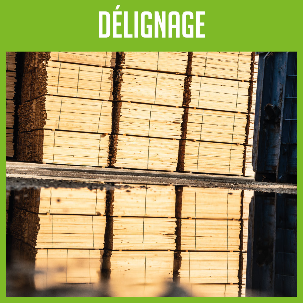 FPBois's tweet photo. J2 : Le délignage
Le délignage, c'est l'équarrissage des planches par enlèvement des bords irréguliers.
En fait, c'est la création d'un bois de section carrée à partir d'un bois rond.

#chainedefabrication #bois https://t.co/cN2waHFgb2
