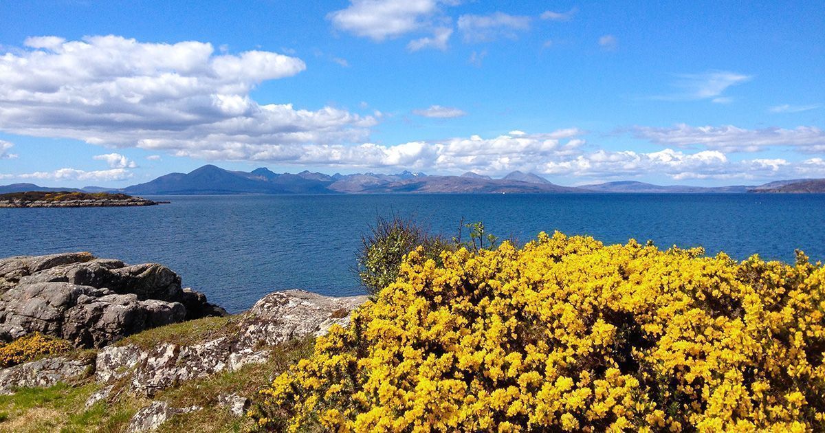 Plockton tweet media