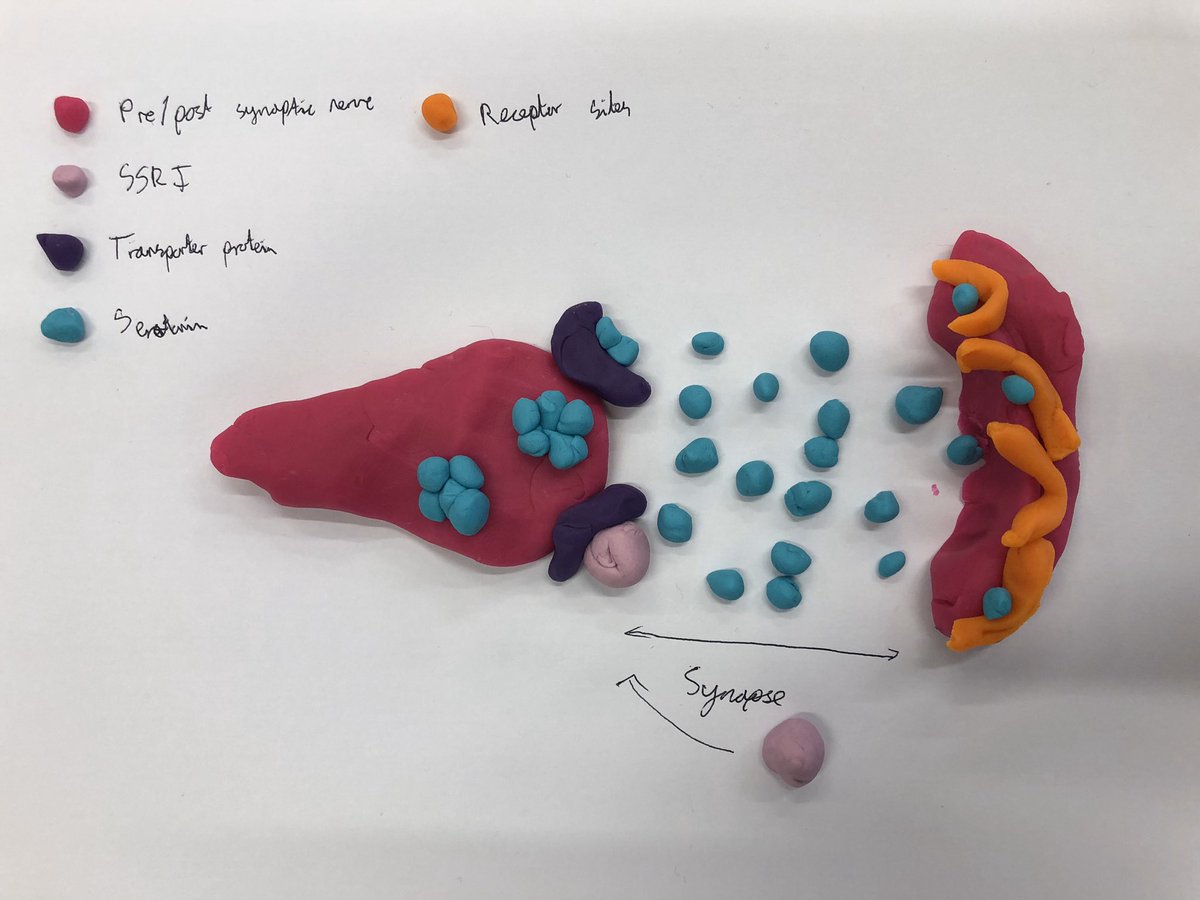 ralphallenpsych's tweet photo. Use of SSRI’s to treat OCD... great work from year 12 #biopsych https://t.co/rtehZKSV4d