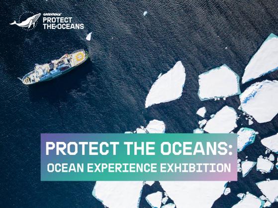 SurreyGreenpeace tweet media