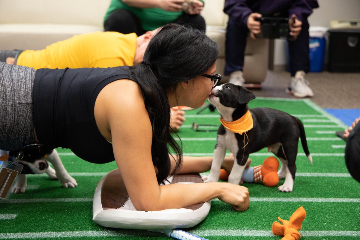 Tess1Tess2's tweet image. Today is the last day of the #30DayPlankChallenge We need to hold it for 5 mins and there are no puppies this time. #sendprayer