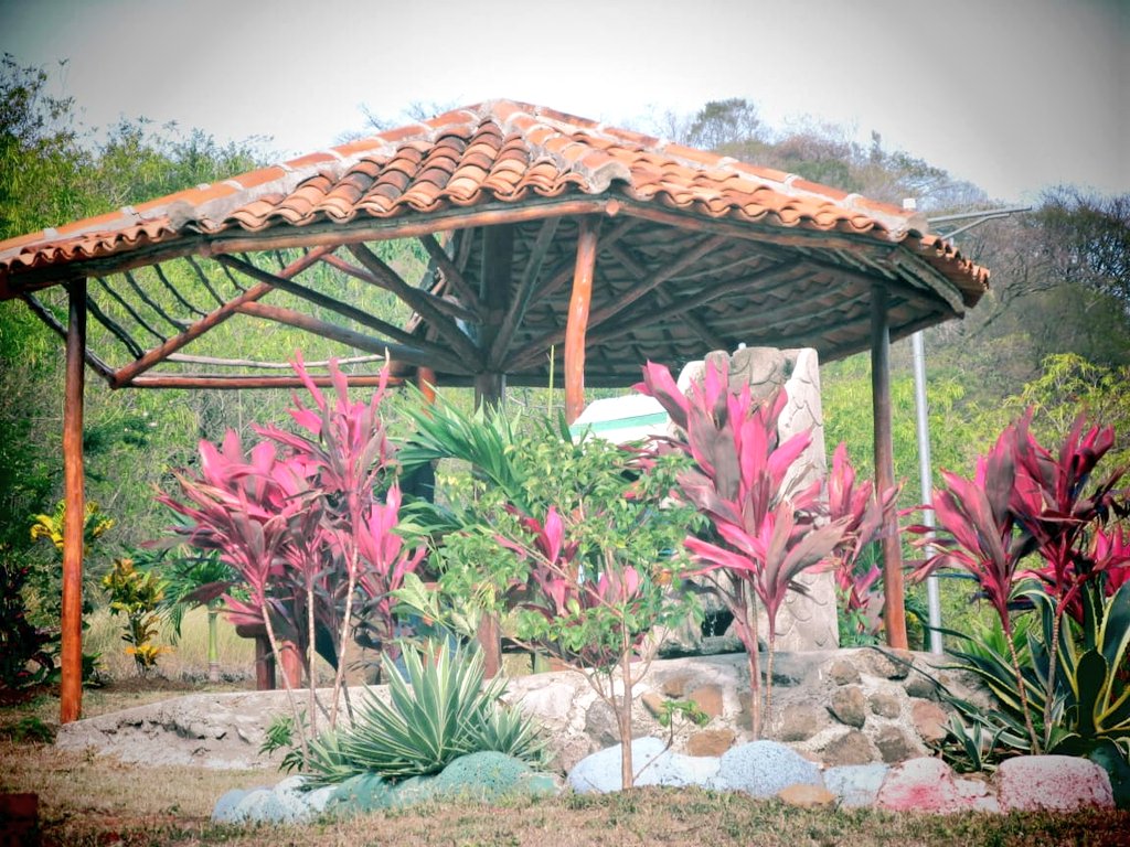 WaslalaFSLN's tweet photo. ❤🖤 Parque natural de Terrabona,un lugar agradable para disfrutar con amistades y Familia.

#NicaraguaUnicayOriginal. https://t.co/LgWnsdruFg