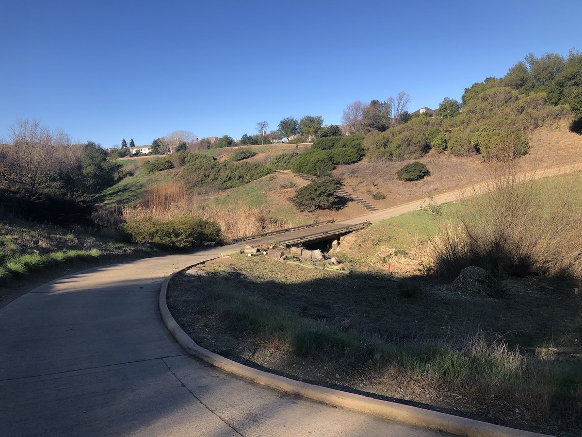 RubyAgronomy's tweet image. Winter projects continue- now on hole #15, removing oaks which were blocking the view of the fairway from the tees