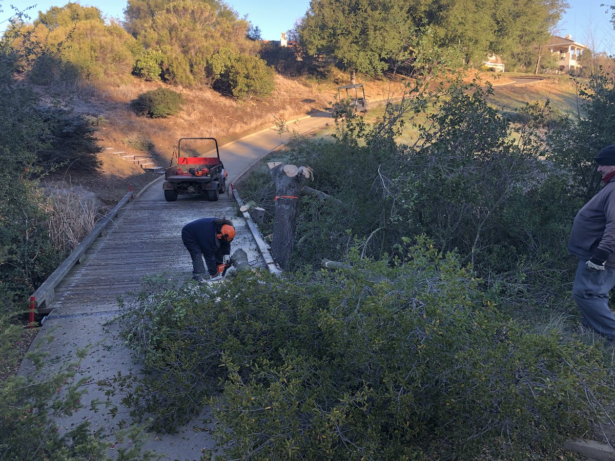RubyAgronomy's tweet image. Winter projects continue- now on hole #15, removing oaks which were blocking the view of the fairway from the tees