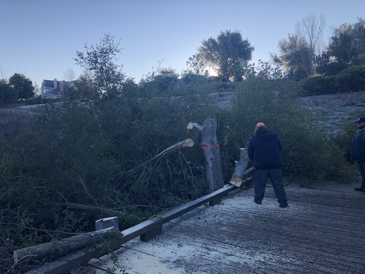 RubyAgronomy's tweet image. Winter projects continue- now on hole #15, removing oaks which were blocking the view of the fairway from the tees
