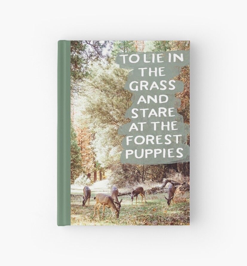 A day dream for everyone because who wouldn’t want to spend a day staring at forest puppies (deer if you have never seen on e close up) A photo of a herd of deer grazing in a sun soaked peaceful meadow surrounded by forest in Yosemite.