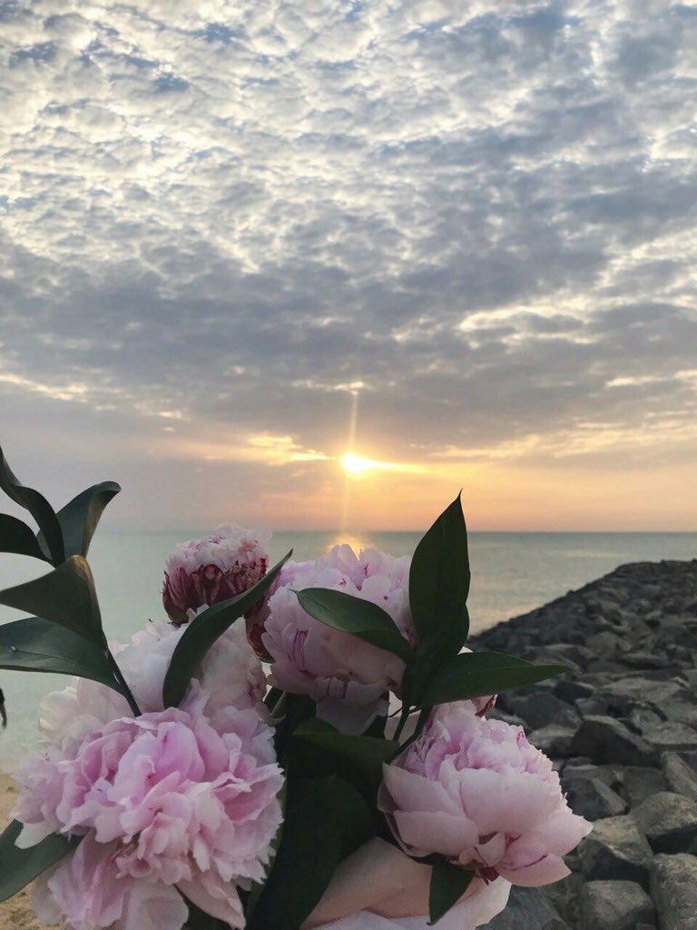 ♡ ✨

الأماني الدّنيوية تموت لهفتها
مع السنين ،وتبقىٰ السماء هيٓ 
الأمنية التي تنهض بنفوسنا من السّراب 

┇❀⇣🕯✨⇣❀┇