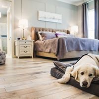 You built this great big beautiful house and here I am stuck on the same old dog bed, so not fair!  #dogs #ubuildit #construction #newhouse #customehome