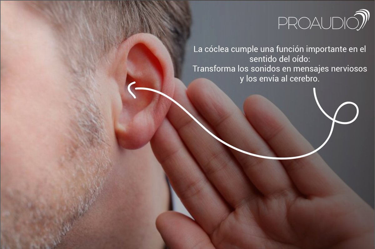 Proaudio tweet media