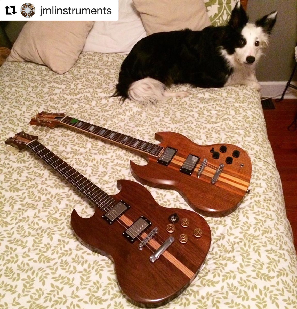 JayLewi64038637's tweet photo. A couple old JML SJs and Suzy Q
#jmlguitars #jmlinstruments #neckthru #neckthrough #coolguitars #handmadeguitars #customguitars #boutiqueguitars #dogsandguitars https://t.co/vtx6e4oyEp
