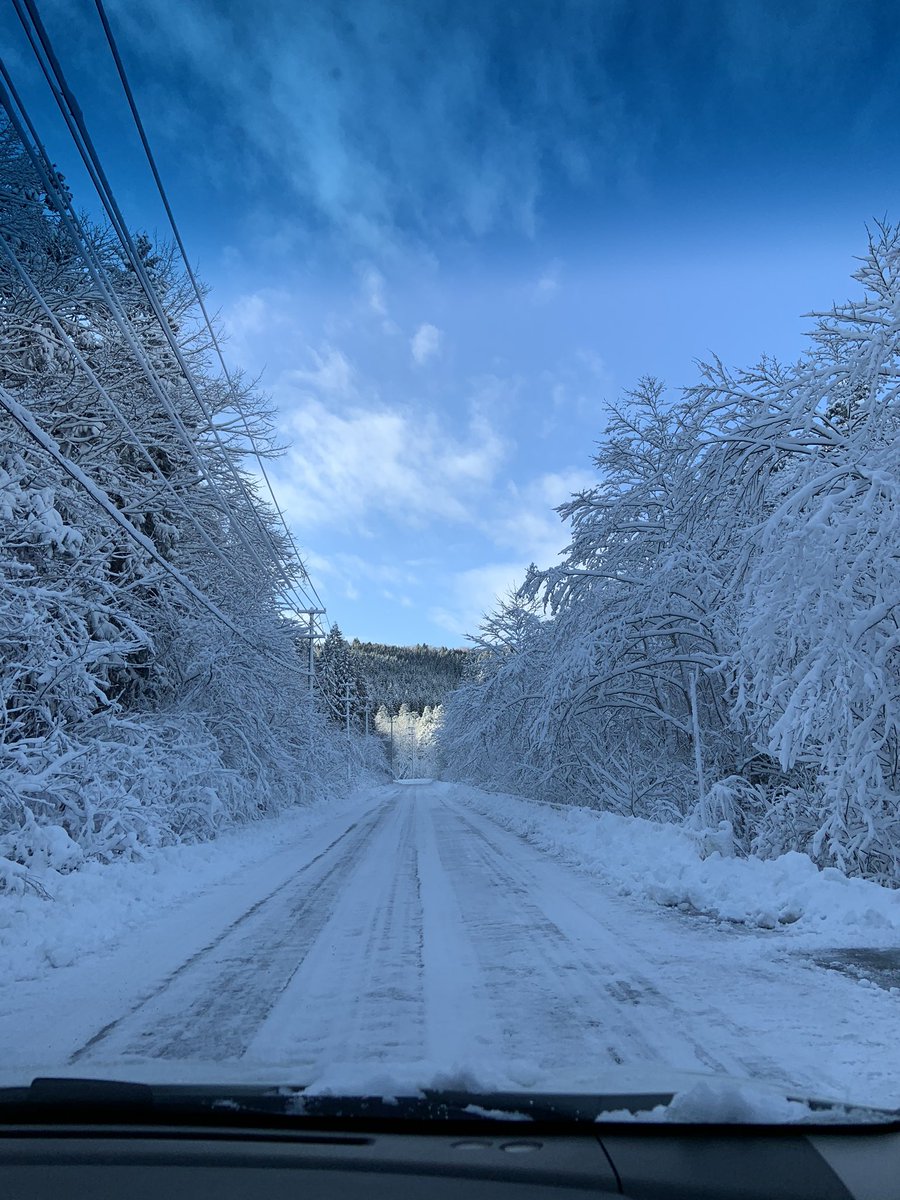 中山 純白の雪の中咲ける花になれるとしたら って言ってられないくらい雪 6 ってなんやねん 中山 純白の雪の中咲ける花になれるとしたら って言ってられないくらい雪 6 ってなんやねん
