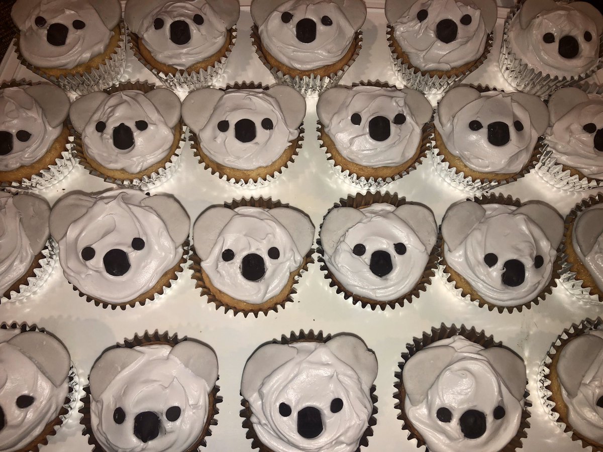 KLBelloMollica's tweet photo. Koala Day tomorrow in Kindergarten...Save the Koalas 🐨 #RJLpride https://t.co/Tod4j37ycc