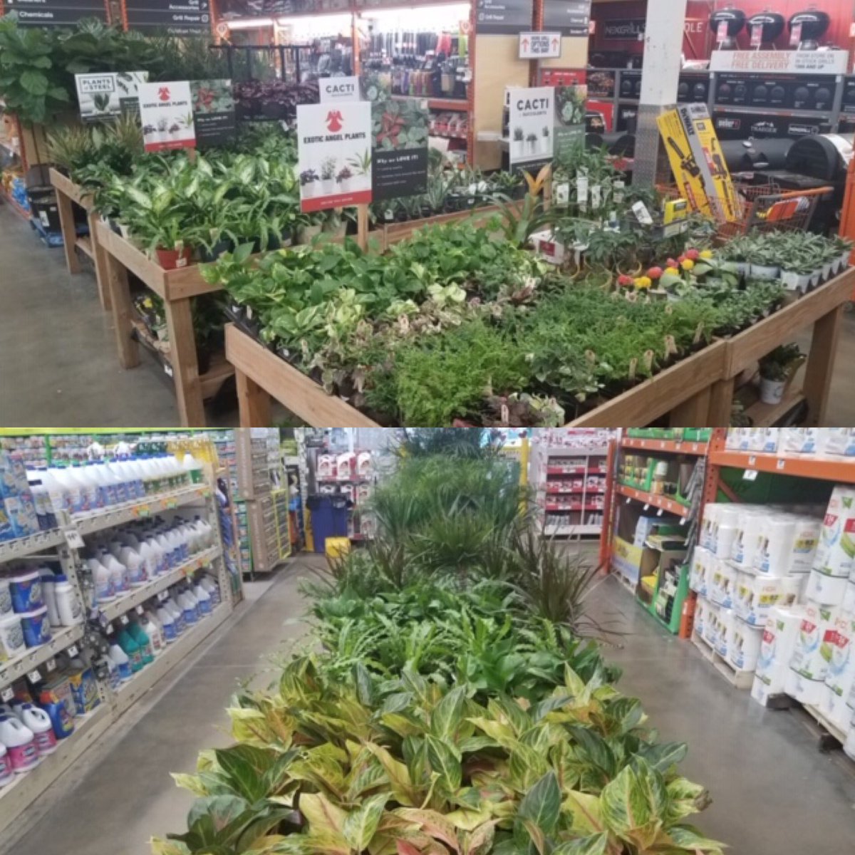 FarmsCosta's tweet photo. HD3011 set and ready! #THD #costafarms https://t.co/bfFdgGd2uy