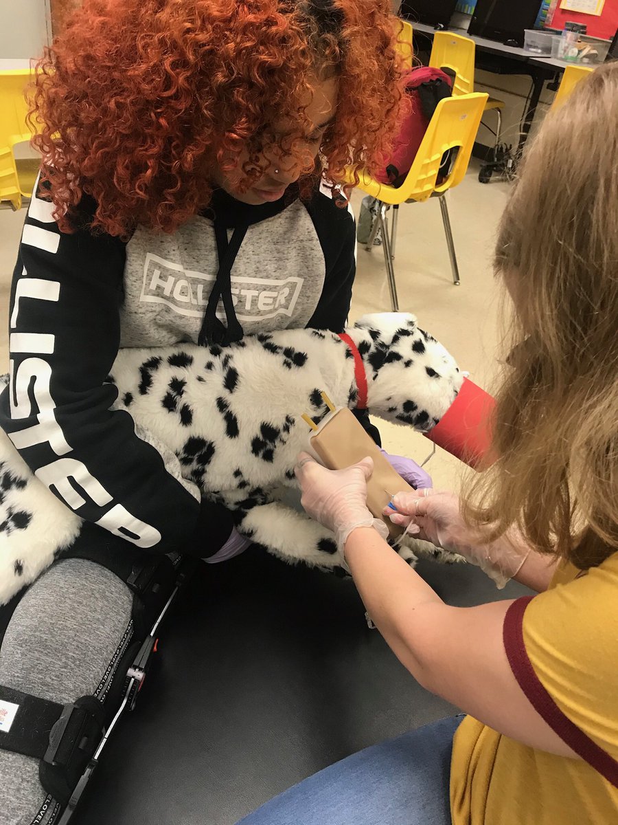 Rnbonesq's tweet photo. Celebrating CCS CTE Month with PFHS’s Academy of EMS!  Learning how to restrain a pup for a simulated blood draw in our Vet Med lab! https://t.co/wOUrwnQbU6