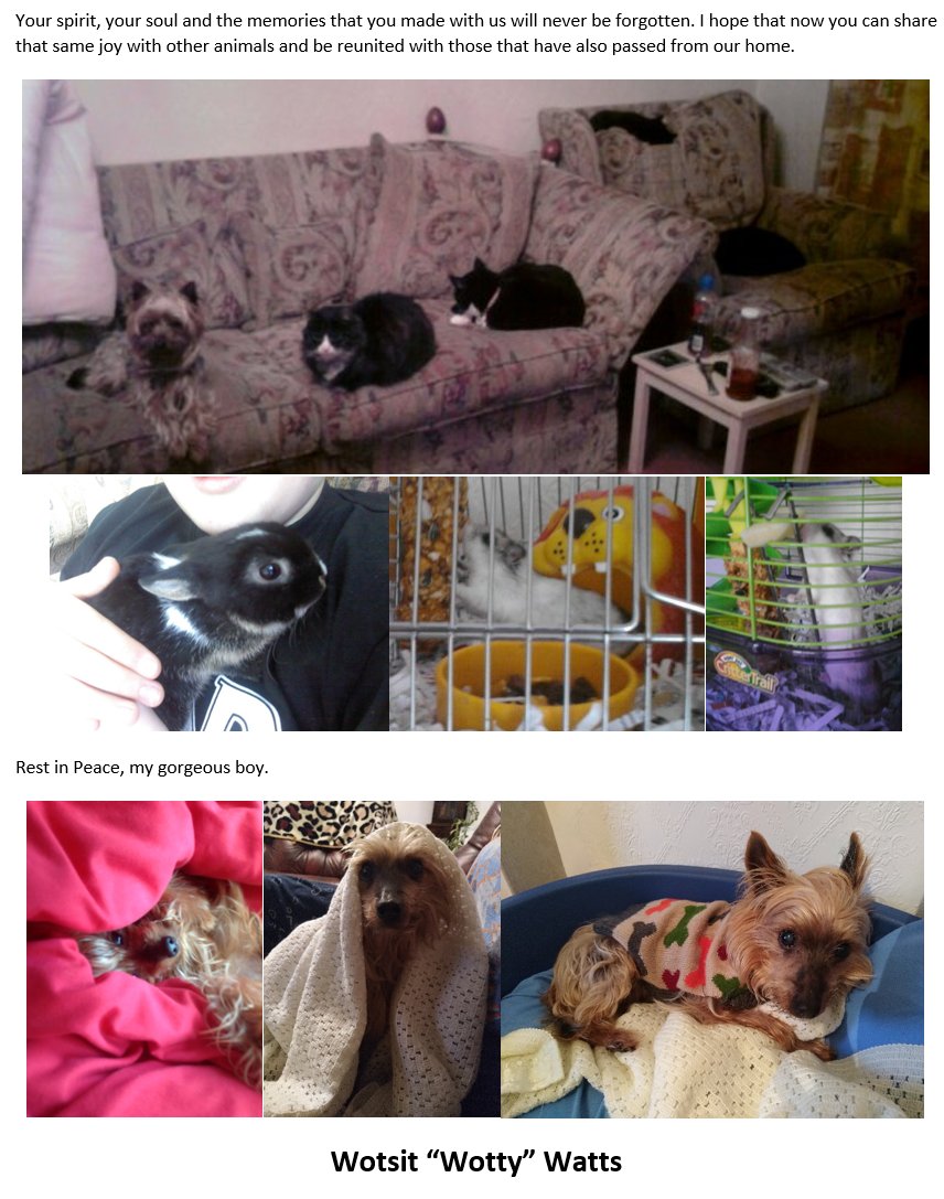 JSR | Jon Watts tweet media