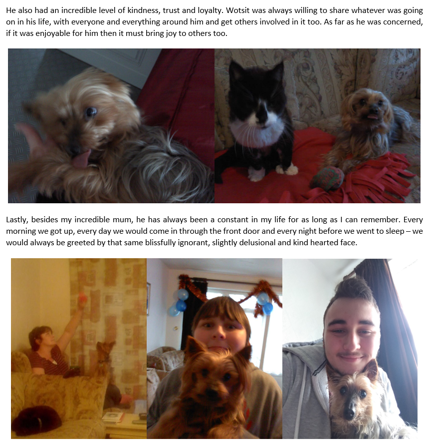 JSR | Jon Watts tweet media