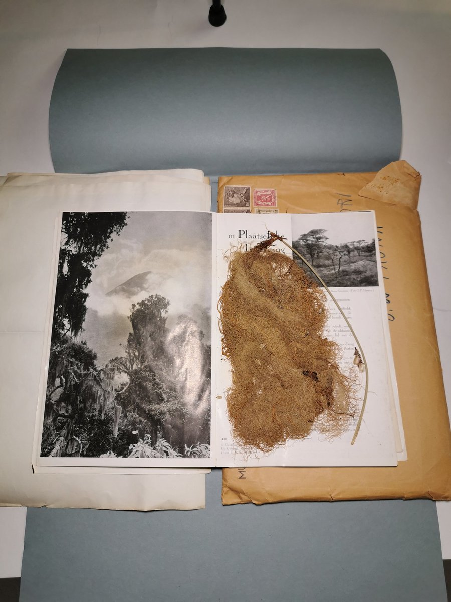 The animator (moi) may be absent in the pictures, but pushed the button thousands of times today in an effort to activate the "Ruwenzori" folder in box 13 of the #PJU documentation at @NL_Fotomuseum today, towards Taferelen34, remembering across cultures at <a href="/fotodok_org/">FOTODOK</a>