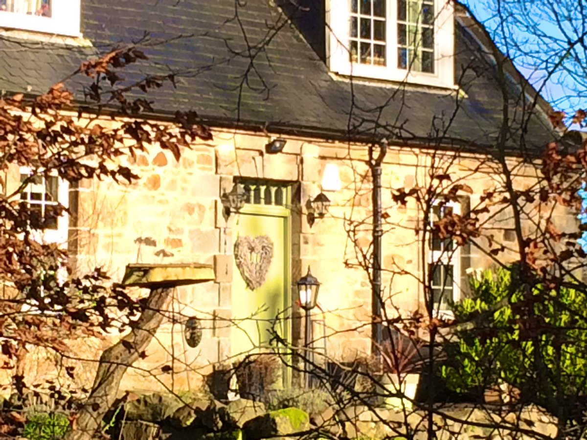 Day 5 of 7. No words, no people, no explanation. Challenged by <a href="/deirdre_moss/">Deirdre Moss</a>