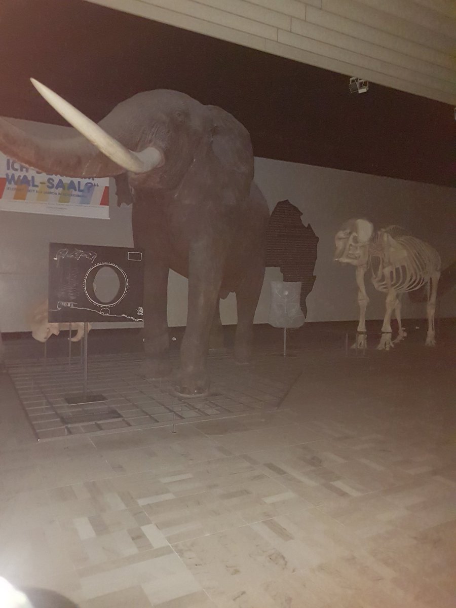 Nachts im Museum. Danke <a href="/DECHEMA/">DECHEMA e.V.</a> 
#PFenzyme