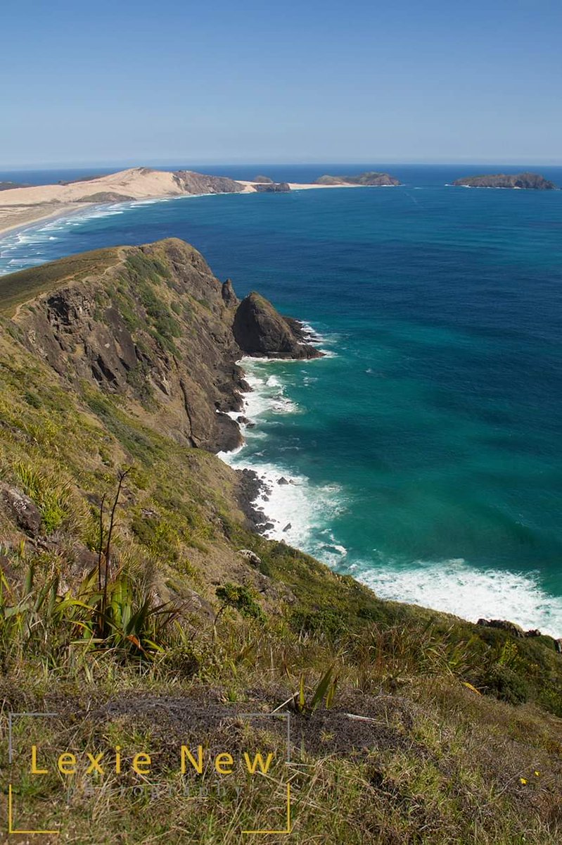LexieNewPhoto's tweet photo. Cape Reinga sits at the northern most tip of New Zealand's North Island. It is where the Tasman sea meets the Pacific Ocean. https://t.co/5gjvwy3c1Z