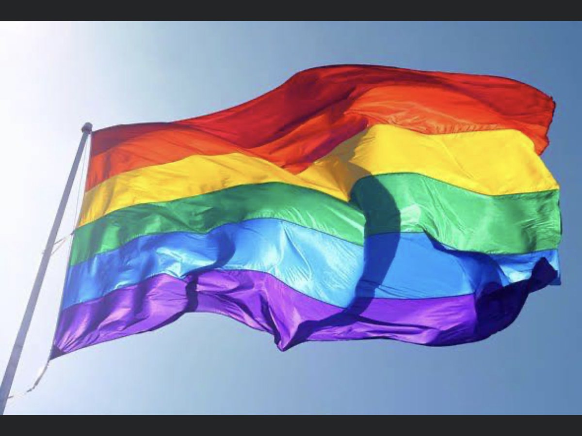 Lgbt 🏳️‍🌈 flag ✌️