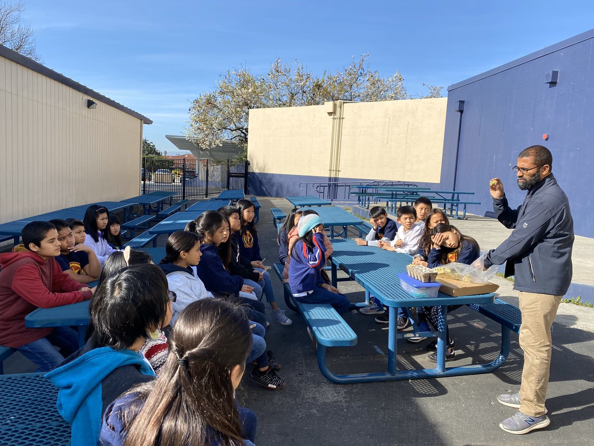 BusdSummerdale's tweet photo. Mr. H our wonderful Social Worker is teaching Mrs. Lulu’s 4/5 combo class how to grow their own food from seeds and learning about gardening! #Pathwaytothefuture💙 https://t.co/dGfjBc6pIW
