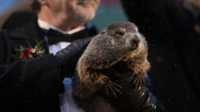 coyleexperience's tweet photo. Leave the Groundhog Behind: How actionable analytics lead to better customer service https://t.co/veJmq71Q66 #analytics #customerservice #actionableinsights https://t.co/VmZ4qBPGJ9