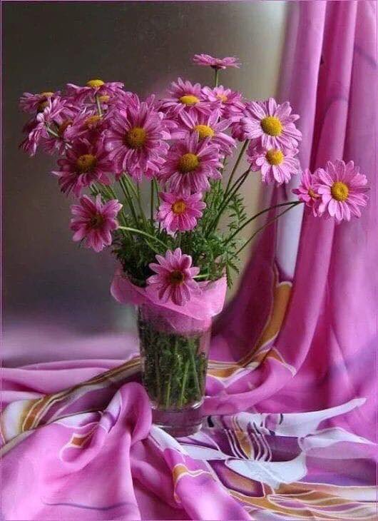 lm_adem's tweet photo. #Bahar gönderir #AL gelin gibi...!
Bir #hazinedir görünmez dibi..!
O bir Cemil’dir, #Cemal onun #tecellisi..!
Yoksa sen #güzeli yeşil den al dan mı #sandın...?
Çok istesende #inadına olmaz...!
#Takdirden öte muradın olmaz...!
O uçurursa senin #kanadın olmaz...!!!🌼🌼 https://t.co/OZTFAhBpPK