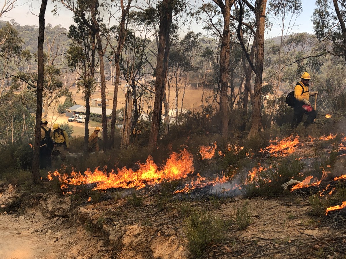 BLM firefighters work on the fire line in Australia.
Credit: Dan Betts, BLM, NIFC