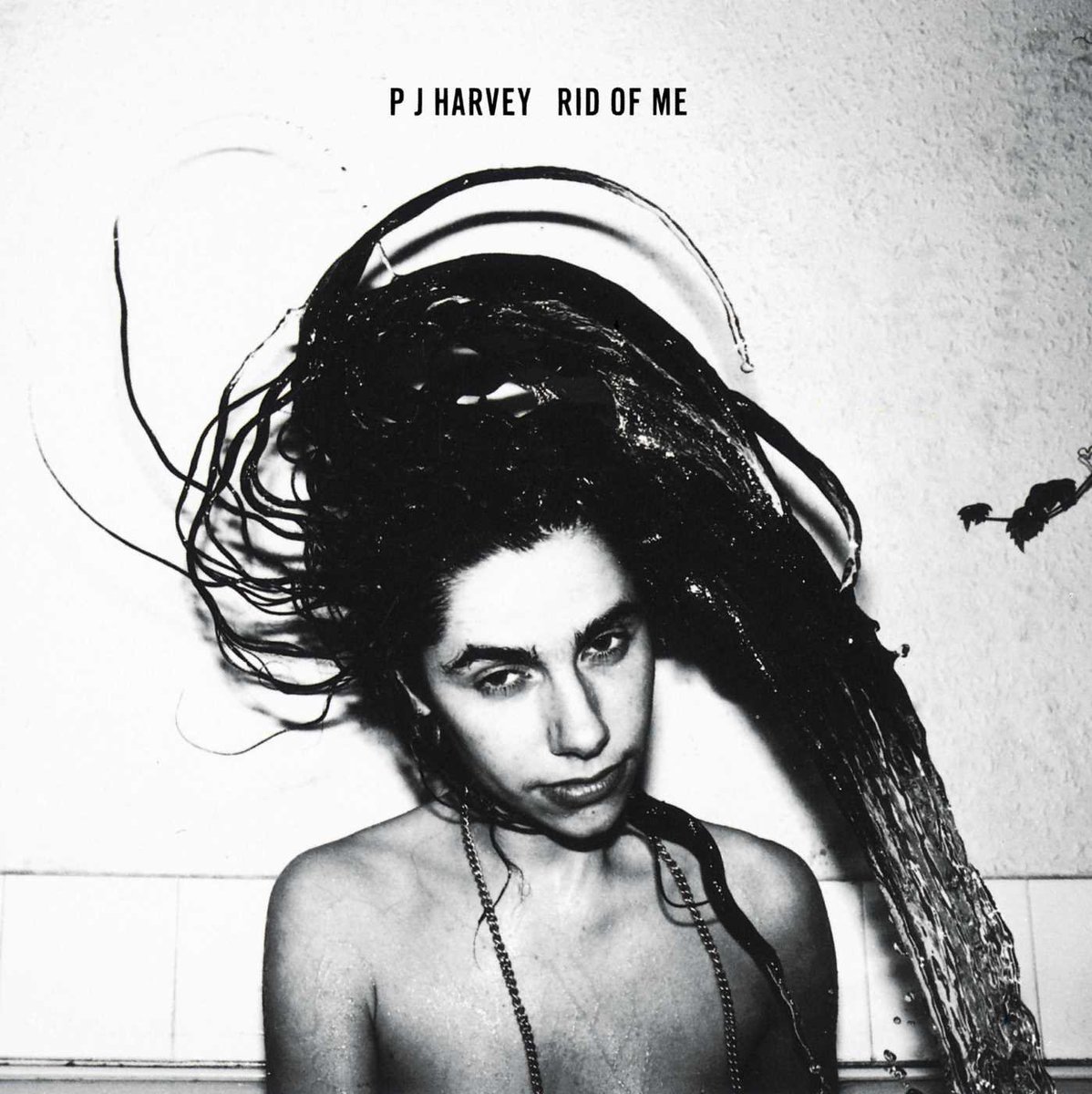 The Art of Album Covers .'It was taken in pitch black in my bathroom with a flash' - Maria Mochnacz on her image of PJ Harvey which was used on PJs 2nd album 'Rid of Me', released 1993.