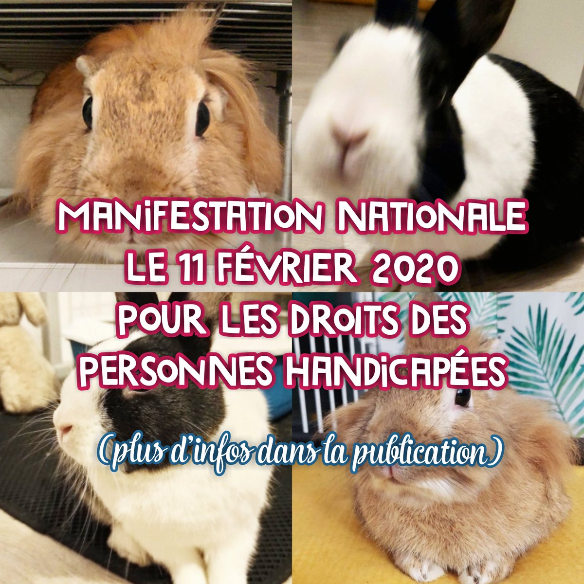 Photos de Jean-Jean et Clémentine avec un texte qui annonce la manifestation