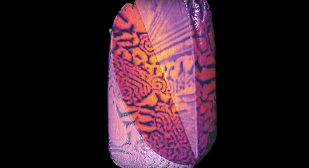 Nanospirals captured by Prof. Shahani’s research.