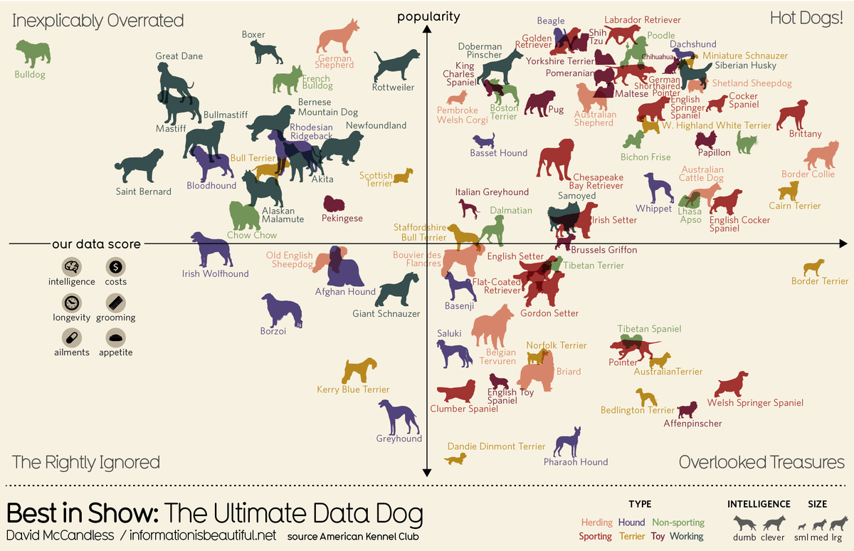 infobeautiful's tweet photo. What are the best dog breeds, according to data? Collating intelligence, genetic ailments and other markers creates a chartable 'data score'. https://t.co/qgNJSMflG8 https://t.co/ZyoAdgeVjM