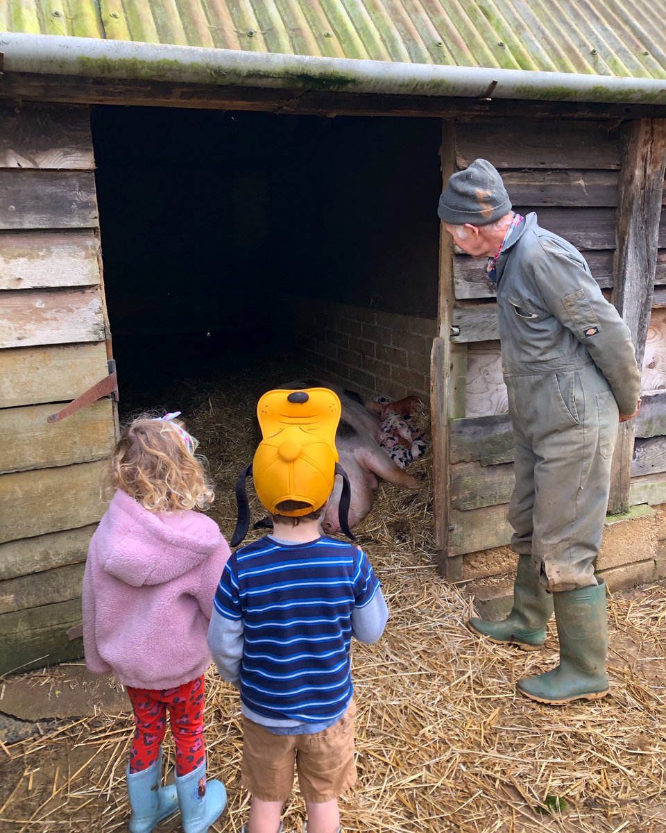 Peak_Deli's tweet photo. Strolled down memory lane yesterday at the pioneering @sandylanefarm in Oxfordshire. Fond memories of learning to grow/ harvest &amp; start Supper Clubs. Wonderful family - go see them if you’re in the area. This is our tow with Charles &amp; the brand new 13 piglets. #derbyshire https://t.co/CZmRZl2X6s