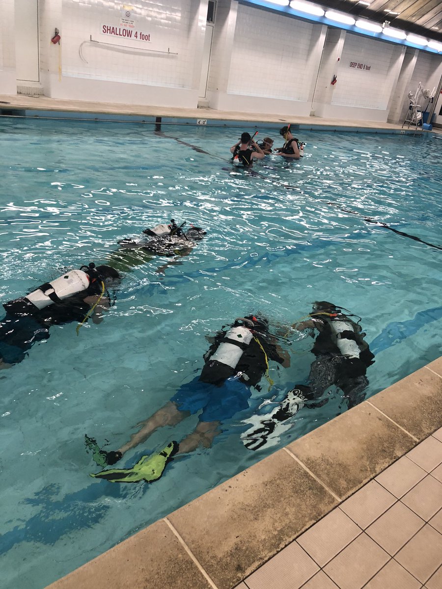 With the start of semester 2 our trainees are back in the pool. Learning the basics of diving before heading into the sea 🥶 

#LoveDiving #WeAreDCU #CFT