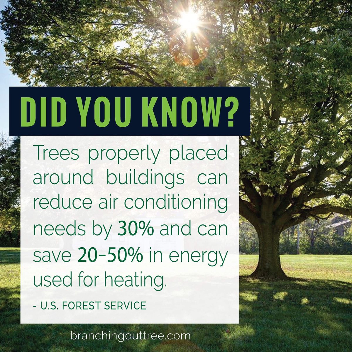 BranchingOutAZ's tweet photo. As this cold wave arrives we are reminded of the endless benefits trees can provide in the landscape! 
#TreeFacts https://t.co/qyiklcMSc1