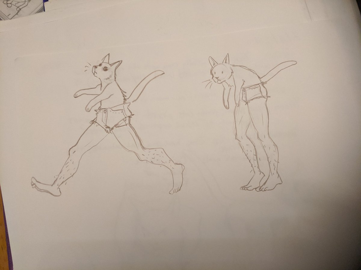 Thiefof_Cookies's tweet photo. I was drawing a cat to human transformation and @BluNaxela suggested a vastly superior mid-transformation look, and now you all have to see it https://t.co/2Y1cLwBlx7