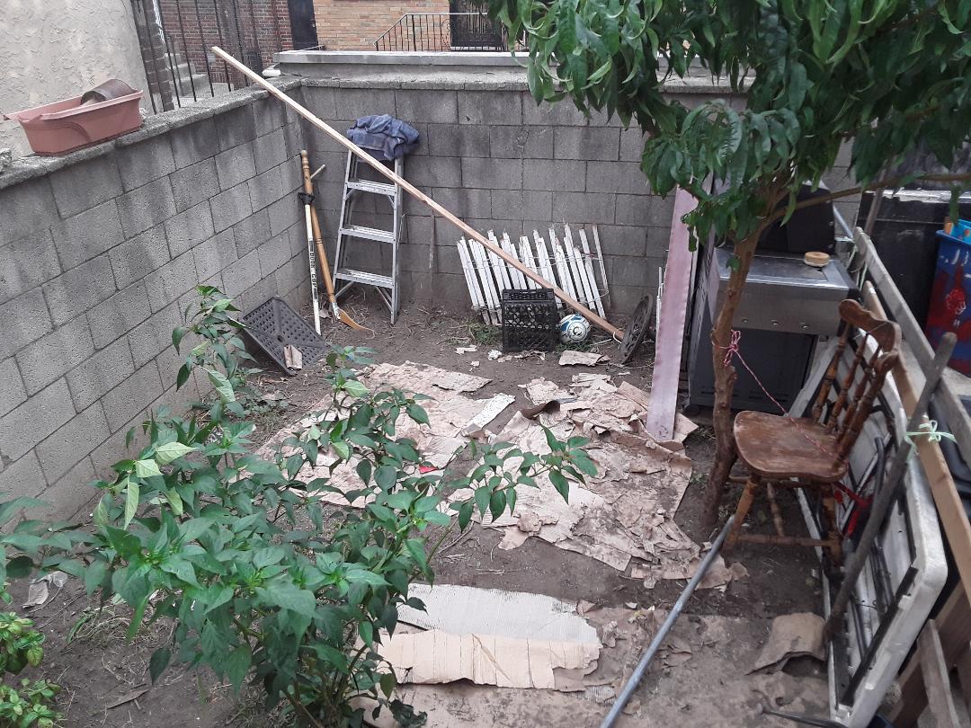 junk, rats, mice, cockroaches from this nuisance renter