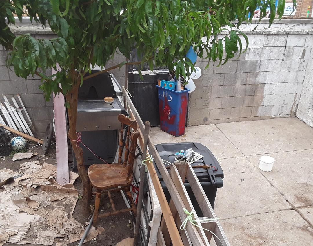 Zoom in to see Mouse trap used as fly trap. 1000 of them swarming