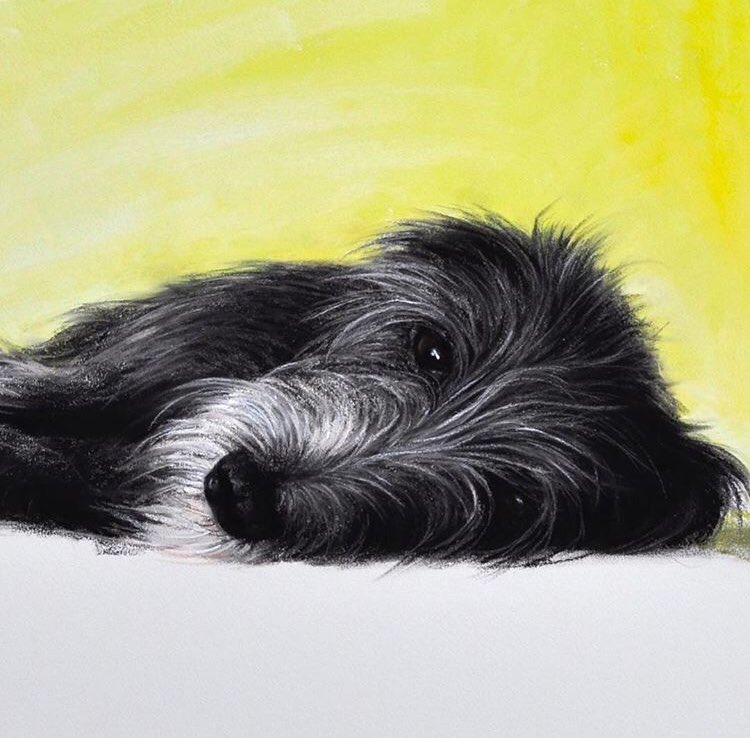 Thrilled to be showing work by a very talented local artist @claire_verity. It has inspired me to get back on here posting up-to-date gallery news. I shall post another of Claire’s paintings tomorrow for you.