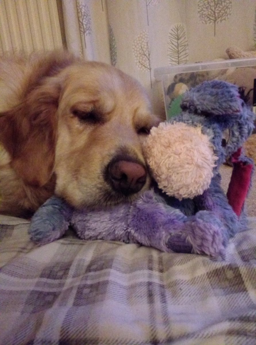 Our eve with her favorite toy