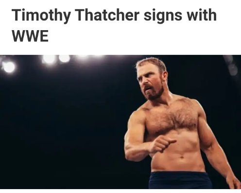 Timothy Thatcher As Cats tweet media