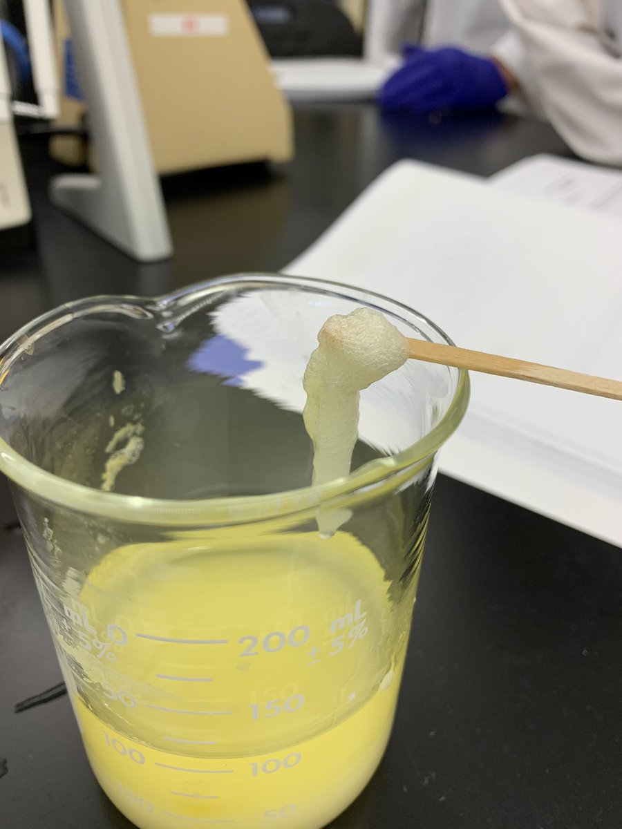 elvindiver03's tweet photo. Today’s experiment was fab extraction from fruit. This class is so cool. #biotechisfun #lscmontgomery #proudnerd https://t.co/Txd3ERgGp5
