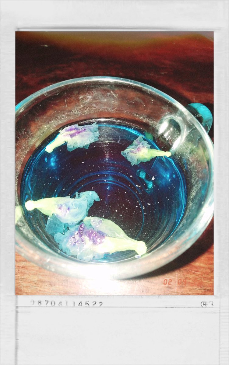 Another life lesson I learnt recently is that you should never let yourself get close to people, keep a SAFE distance. For when that time comes, it is easy to part with them and turn away so they can't implicate or hurt you.

#RandomMusing