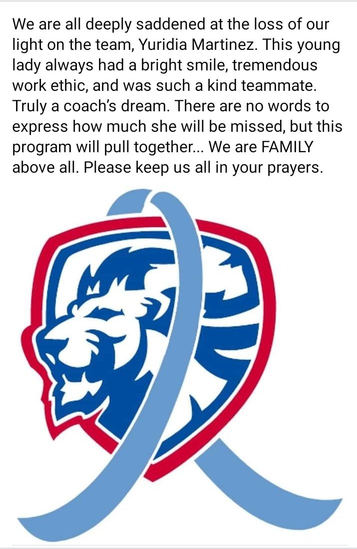 Ladylions Volleyball (@mhslions_vball) on Twitter photo 